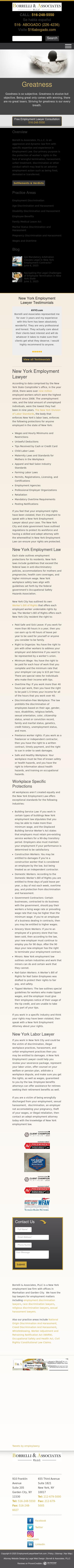 Borrelli & Associates, P.L.L.C. - New York NY Lawyers